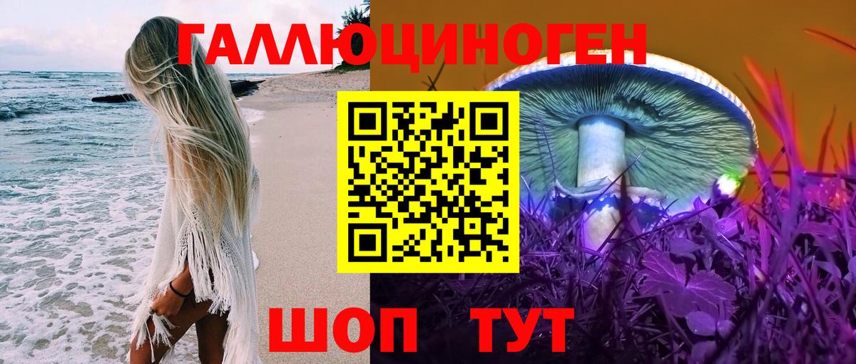 Галлюциногенные грибы прущие грибы Луга