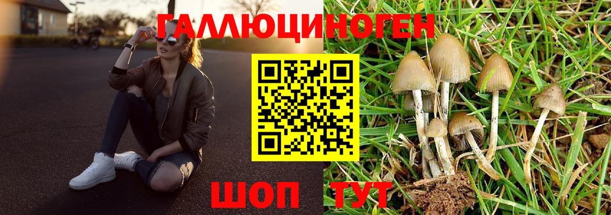 Псилоцибиновые грибы Cubensis  купить наркоту  Луга  Вход с VPN 